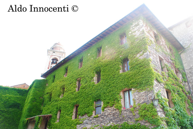 CASTELLO DI FROSINI: CASTELLO 6' IMMAGINE